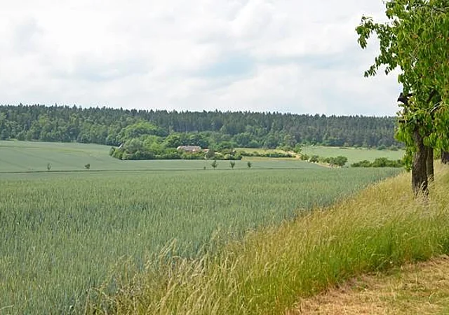 Anfahrt, Blick nach Süden