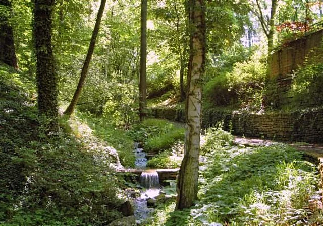 Wolfsschlucht