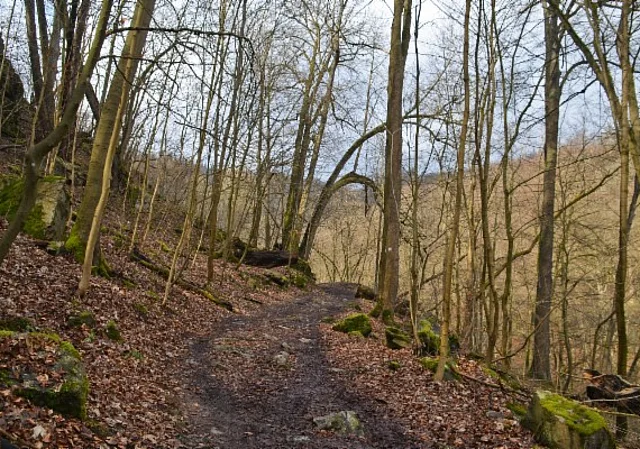 Bodetal