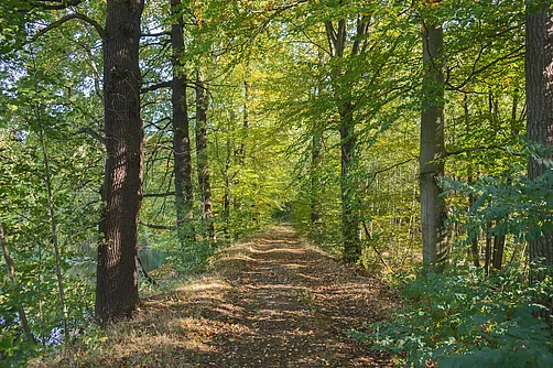 Dahlener Heide