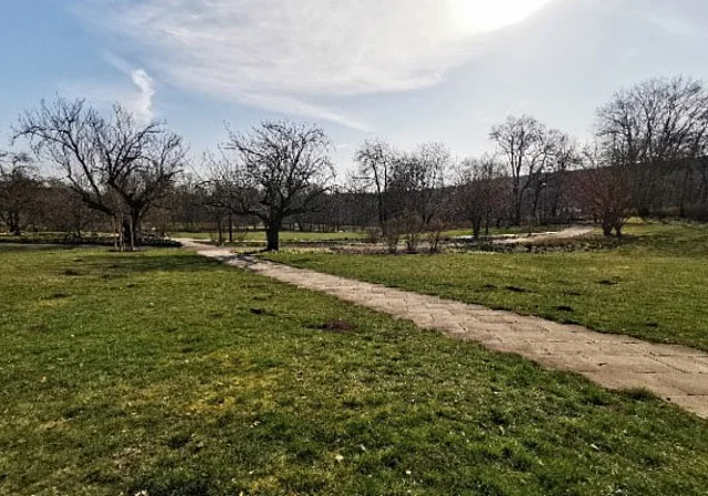 Dendrologischer Garten