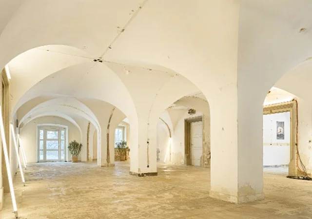 Halle UG