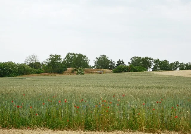 Langobardenwerkstatt Zethlingen: Mühlenberg