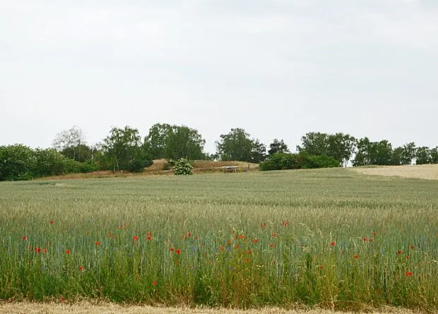 Langobardenwerkstatt Zethlingen: Mühlenberg 
