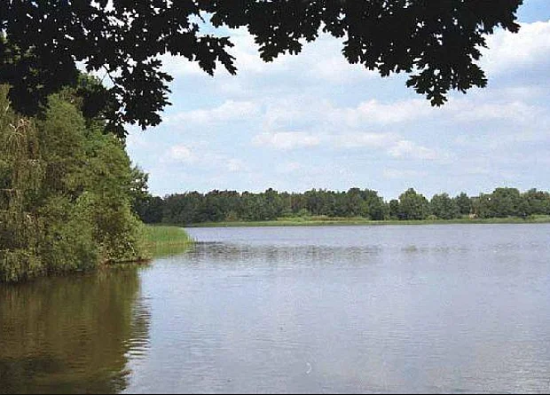 Bärnsdorfer Großteich 