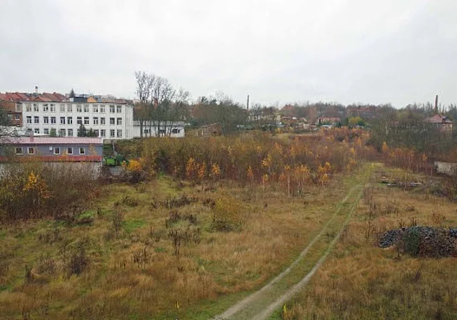 Blick zur Feifläche