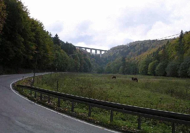 A71 Autobahnbrücke Wilde Gera Blick nach Süden