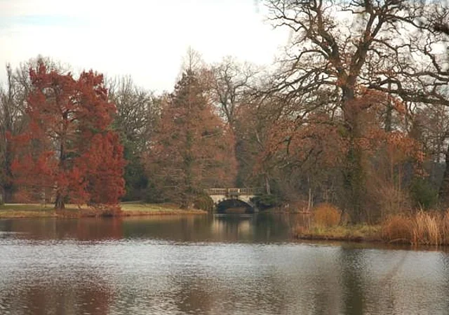 Brücke am Wörlitzer See