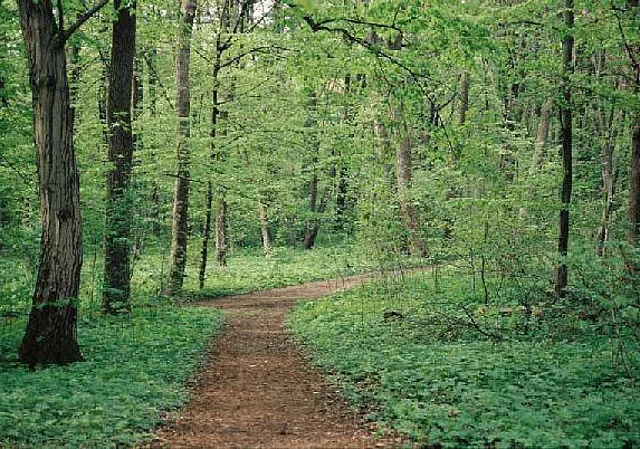 Blick nach Norden