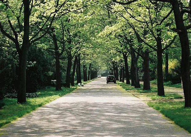 Weg 