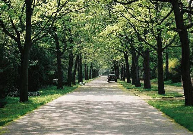 Weg