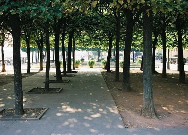 Brühlsche Terrasse, Bepflanzung 