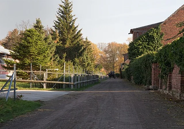 Weg an der Paddock-Reihe
