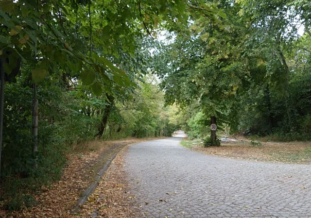 Straße zum Haupteingang