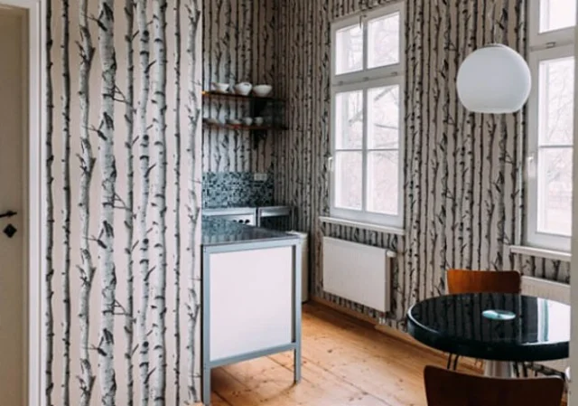 Pension, Apartment Hase