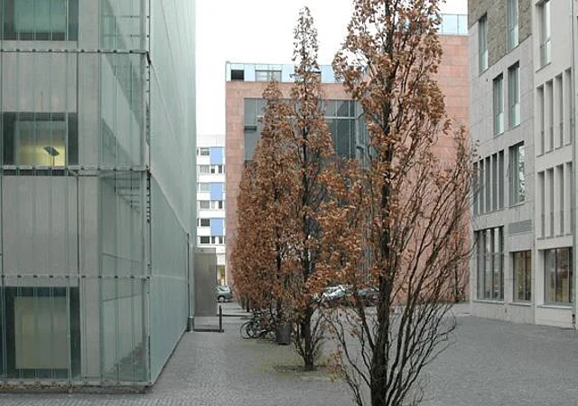 Südseite des Museums und Böttchergäßchen