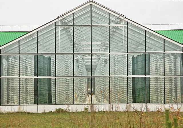Gewächshaus außen