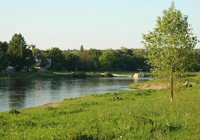 Elbwiesen Johannstadt, Anleger Personenfähre
