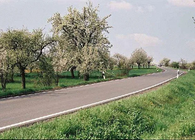 Straße Blick nach Westen 