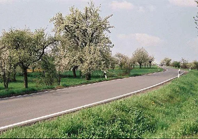 Straße Blick nach Westen