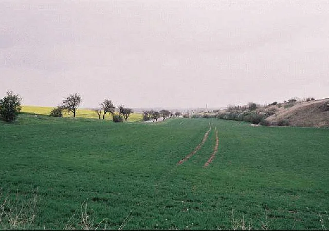 Bei Witterda Blick nach Osten