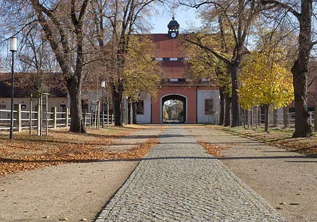 Torhaus Hofseite