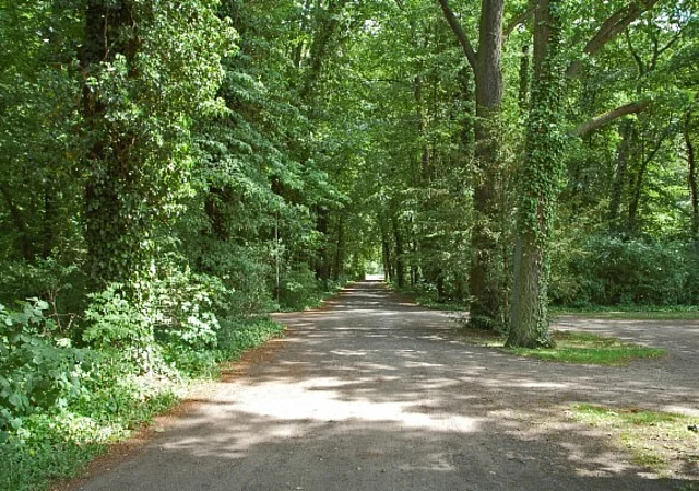 Schlosspark Tangerhütte, Zufahrt