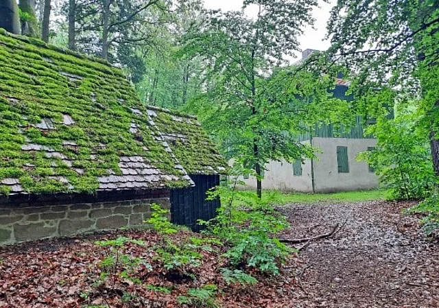 Schuppen