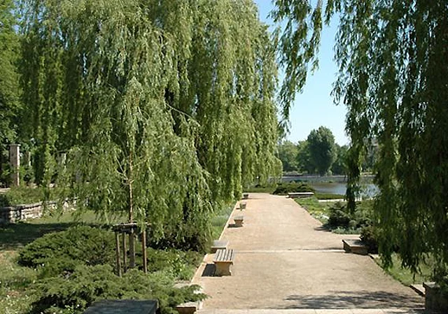 Palmengarten, Weg und Bänke, Blick nach Osten
