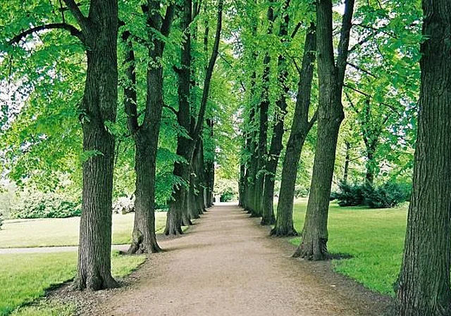 Gardelegen, westliche Ringpromenade