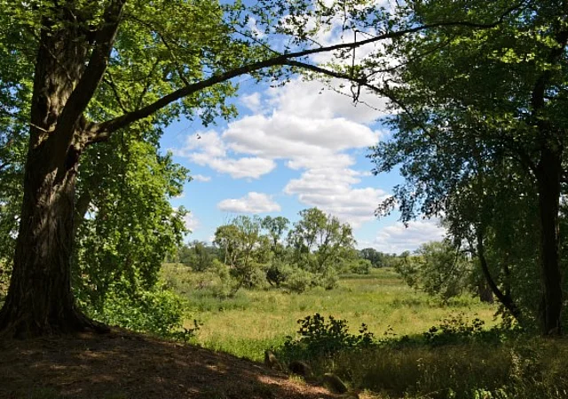 Sieglitzer Berg, Elbaue