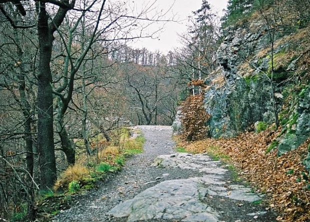 Bodetal, Wanderweg bei Treseburg 