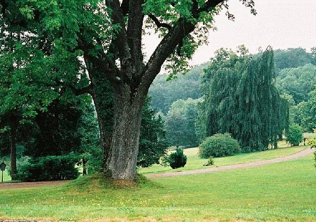 Park Blick nach Nordwesten