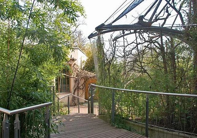 Regenwaldhaus