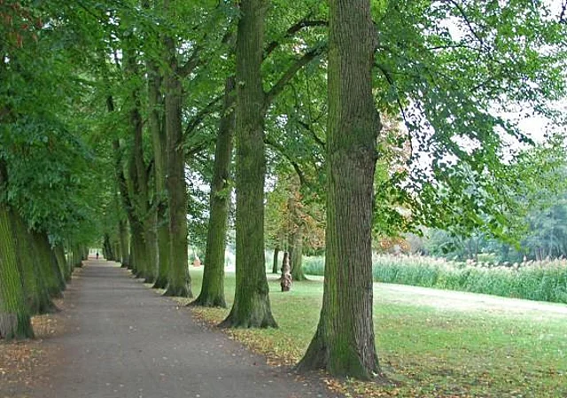 Gardelegen, westliche Ringpromenade