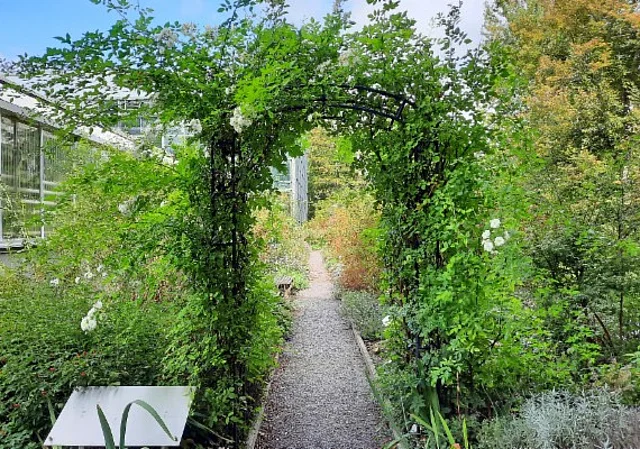 Systemgarten an den Gewächshäusern