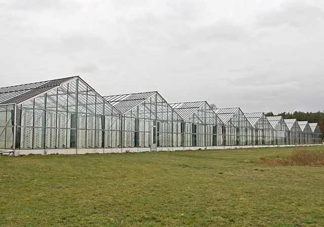 Roquette Klötze, Gewächshaus außen