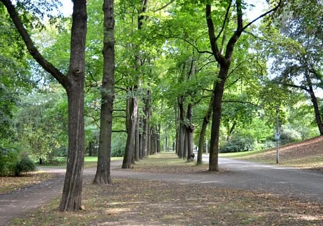 Clara-Zetkin-Park, Johannaparkweg