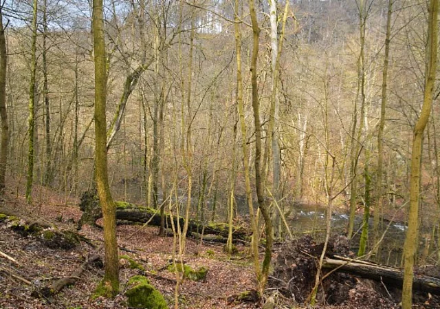 Bodetal