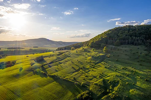 Wachholderhain in der Wiesenthaler Schweiz Wachholderhain in der Wiesenthaler Schweiz
