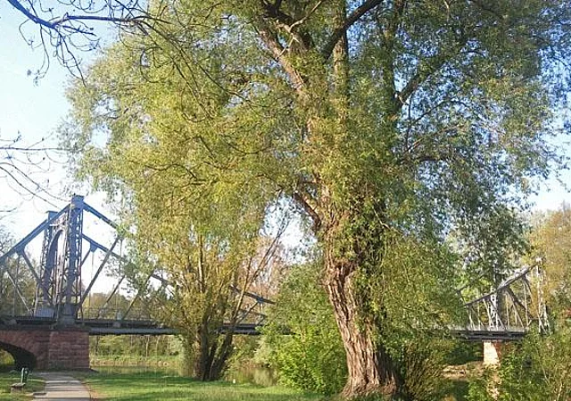 Saalebrücke, Nordwest