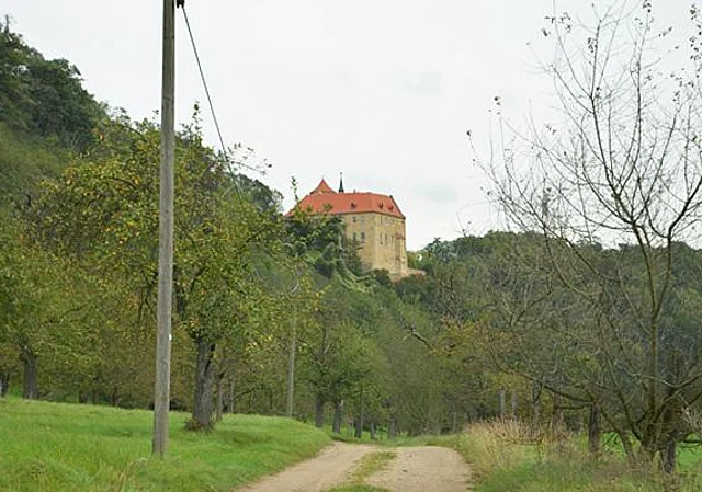 Schloss Goseck
