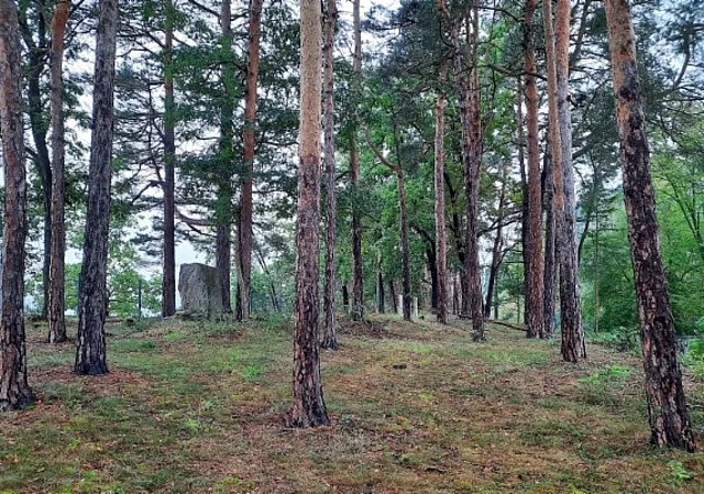 Panoramaterrasse Anhöhe