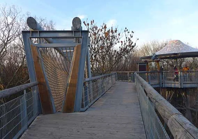 Baumkronenpfad mit Hängebrücke