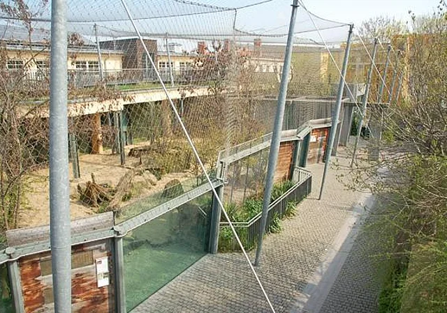 Großkatzenhaus, Außenanlagen