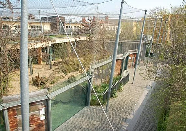 Großkatzenhaus, Außenanlagen