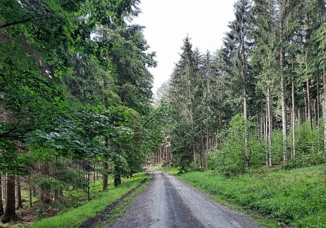 Waldweg befahrbar