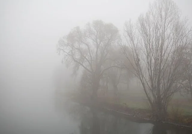 Saale, Blick nach Norden