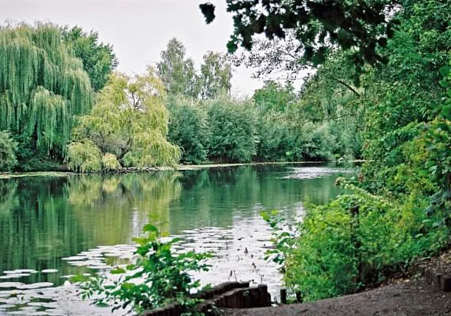 Stadtpark, Pfefferteich nach Nordwest