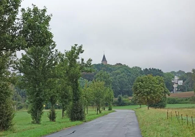 Schloss Ehrenberg: Blick von der K206